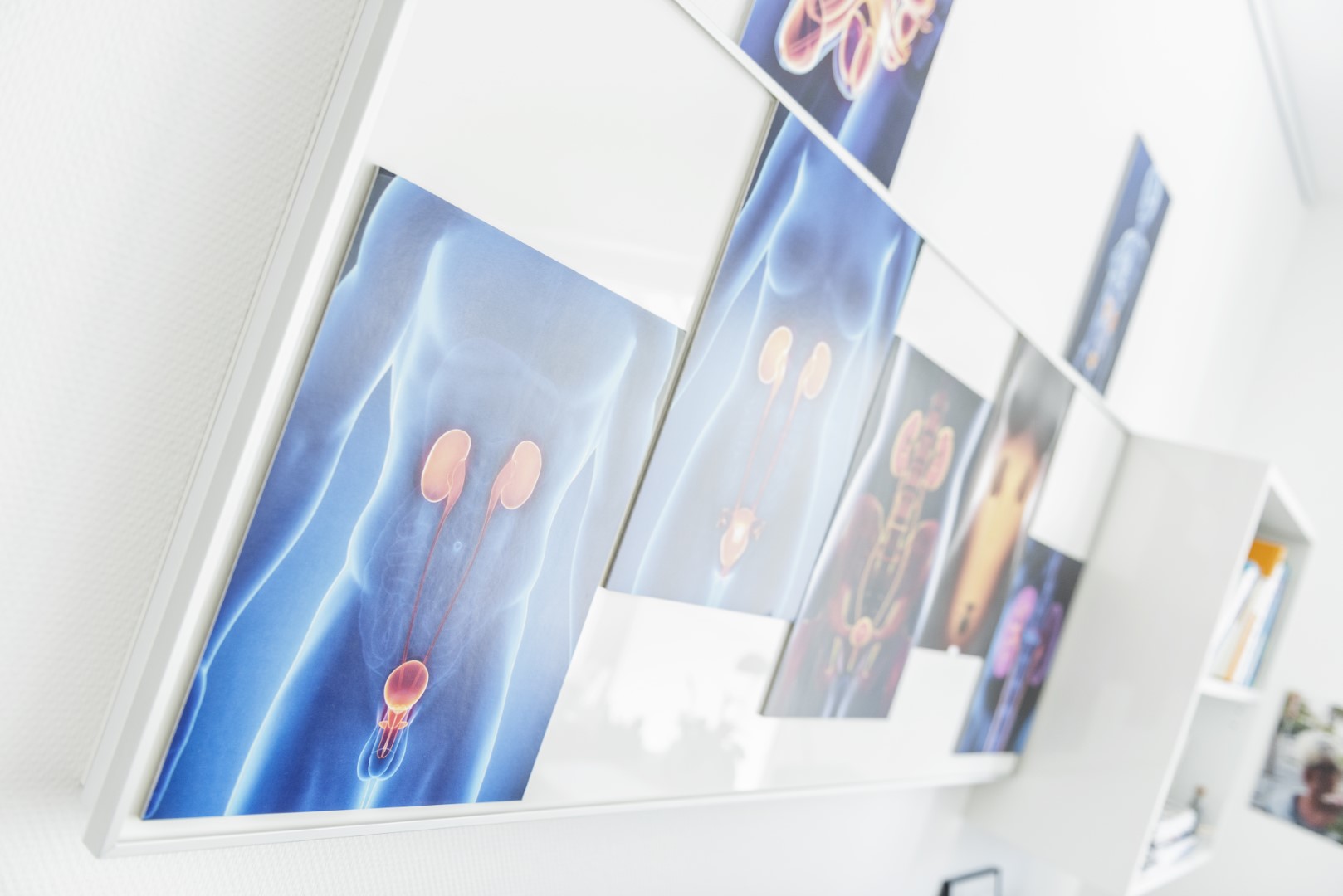 Fotogalerie Die Urologen Am Ring Yorkring M nster